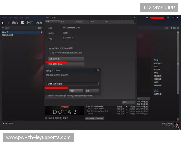 DOTA2国际服更新延迟引发玩家吐槽，dota2国服延迟高解决办法